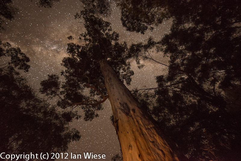 Moons Crossing, Pemberton Ian Wiese's Photography Blog