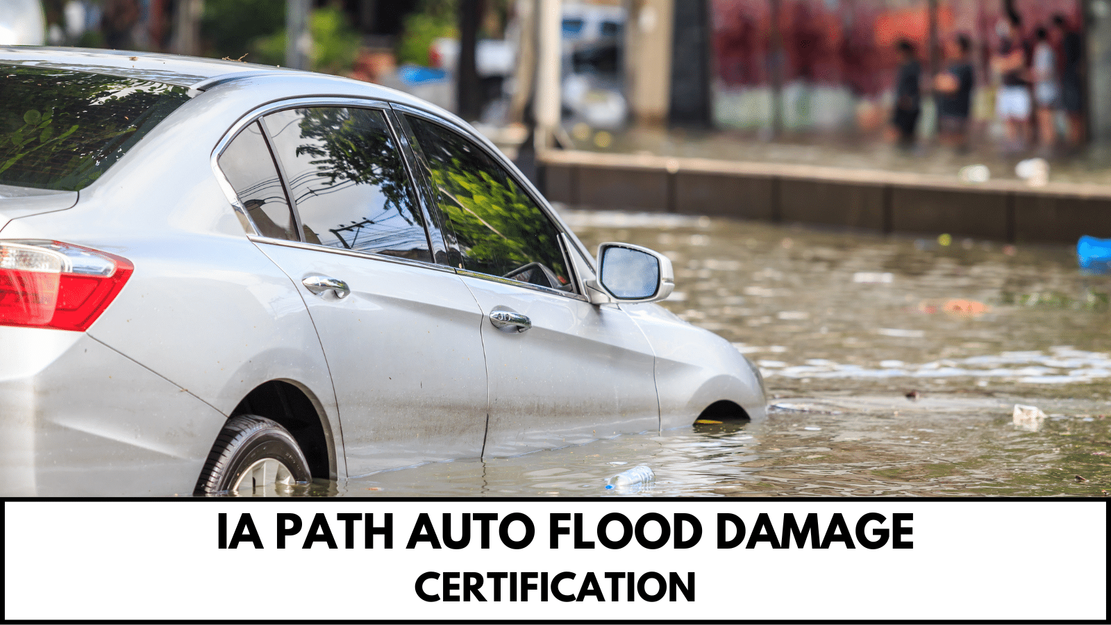Daily Motor Vehicle Damage Appraiser Certification & Mentorship IA Path