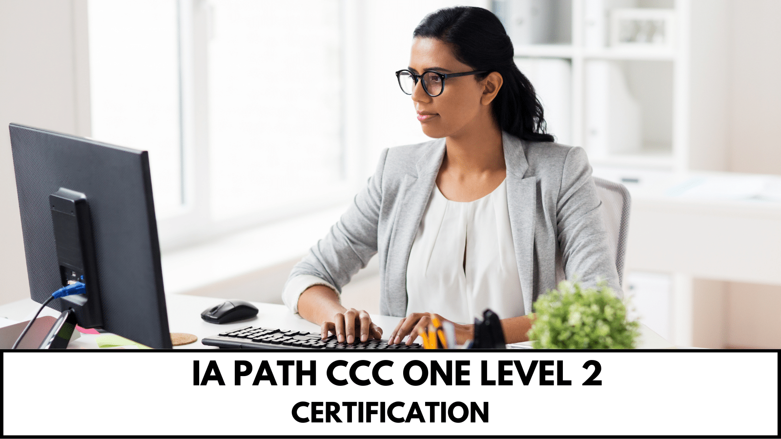 Daily Motor Vehicle Damage Appraiser Certification & Mentorship IA Path