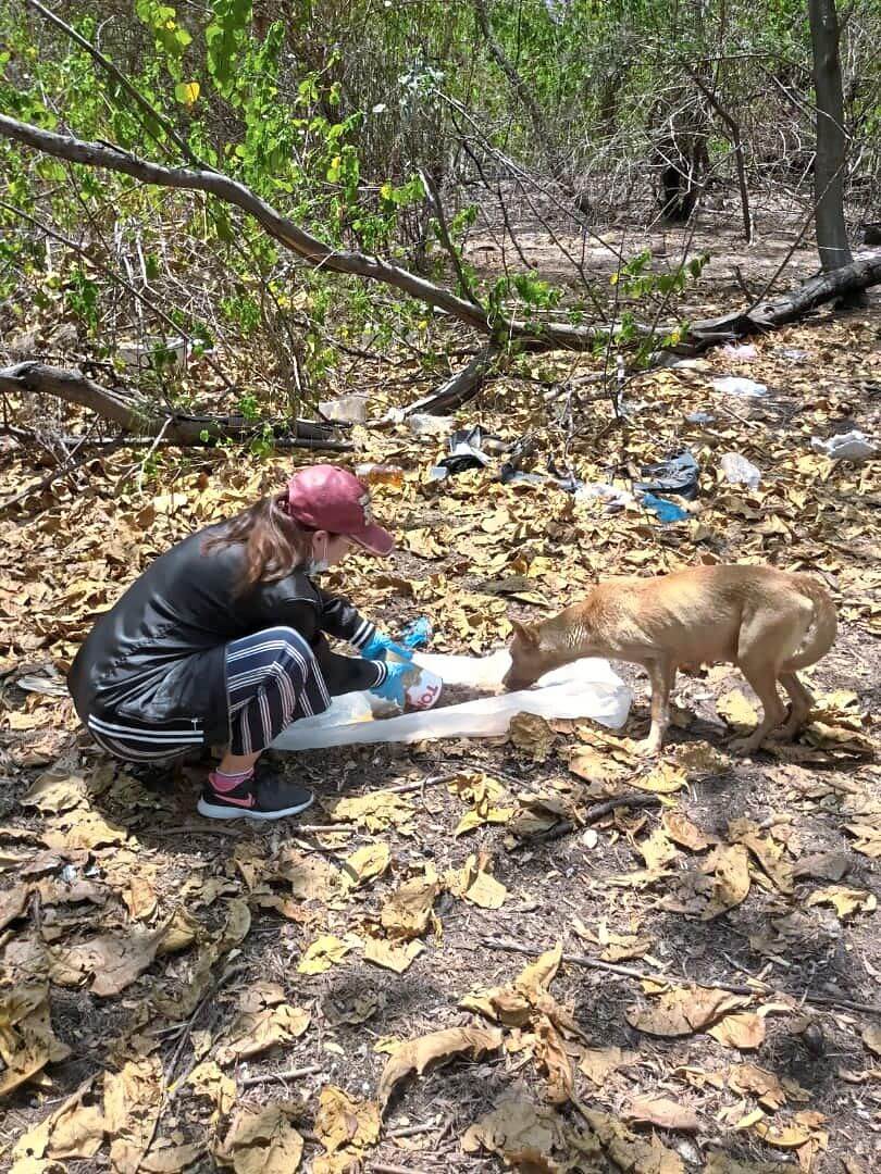 Local heroes rescue stranded strays IAPWA