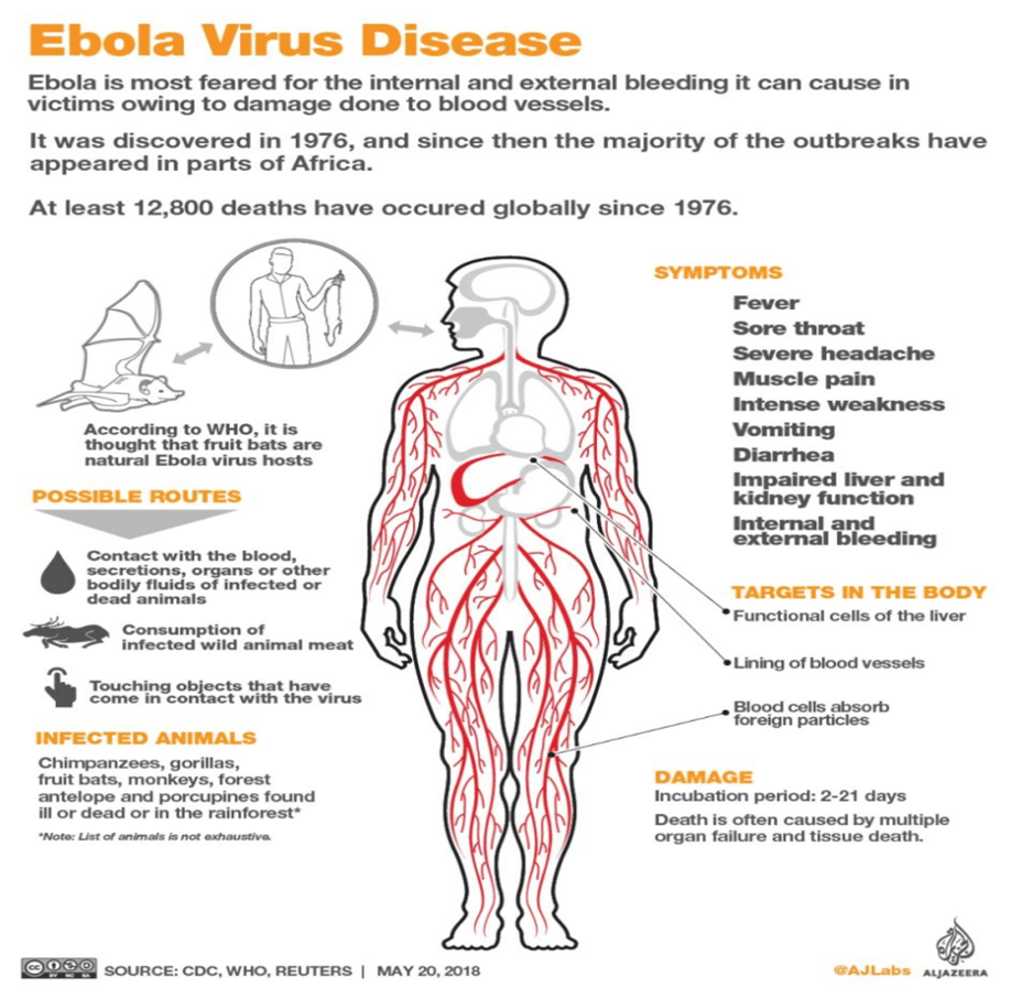 Ebola Virus Symptoms Bleeding
