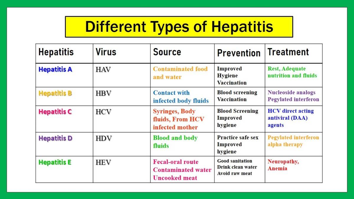 Hepatitis Causes, Treatment, Types, Symptoms & Vaccine Hepatitis B