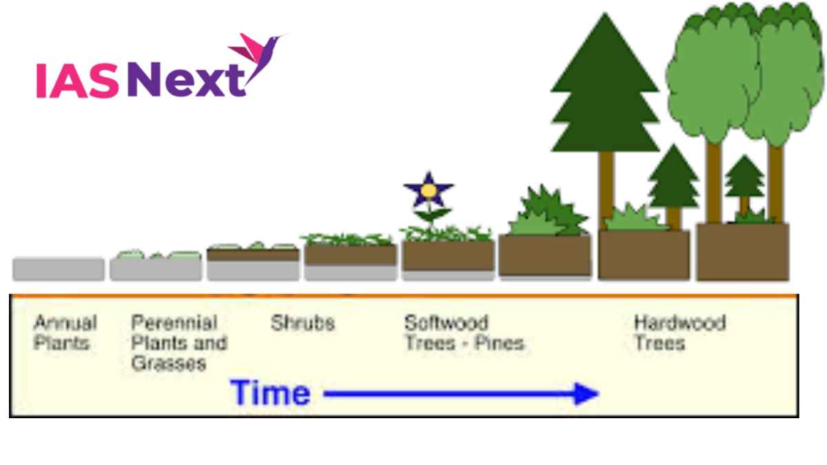 Ecological Succession