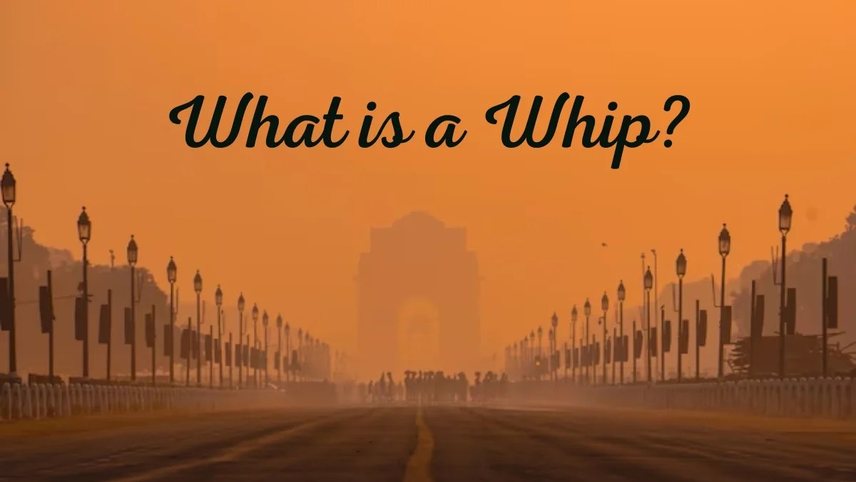 What is a Whip?