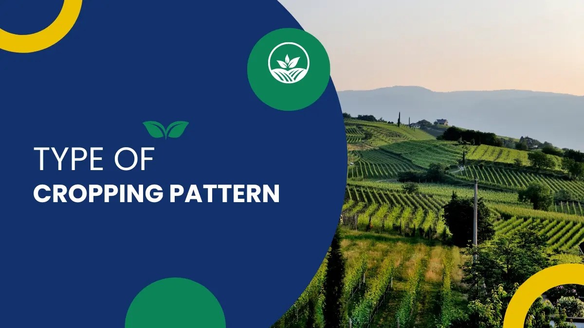 Types of Cropping Pattern
