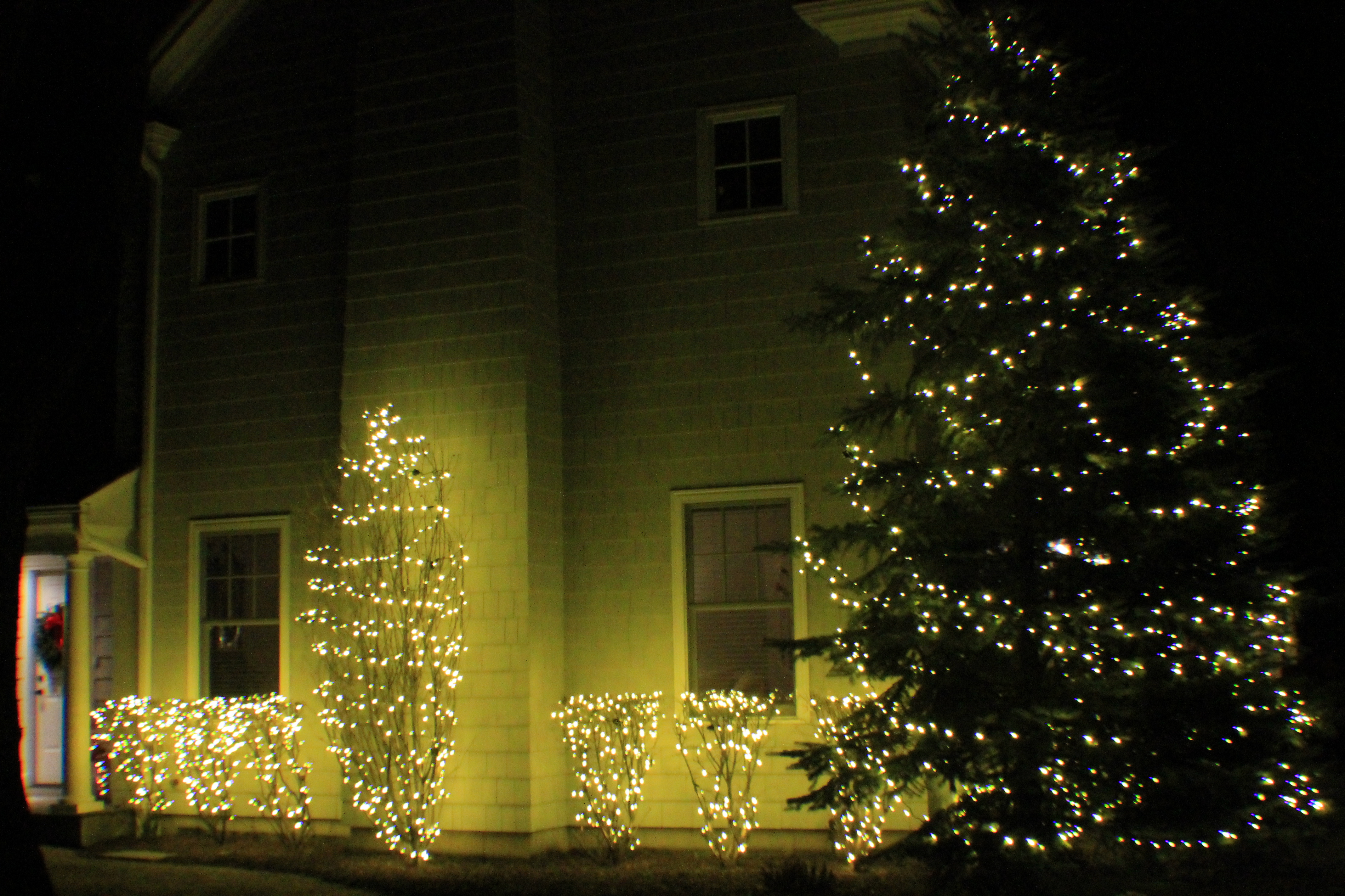 Custom Christmas Lighting Glen Ellyn IL