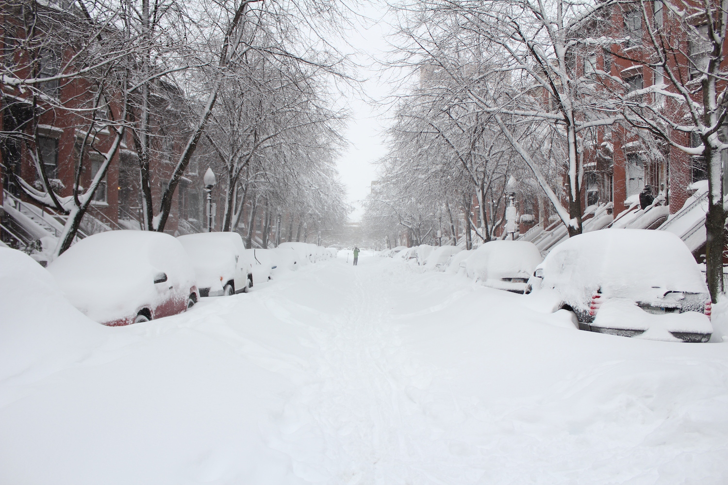 Who Said Snow Days Are Boring Days? IBA Boston Inquilinos Boricuas
