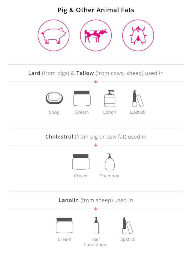 Iba Cosmetics Halal Certified Company Halal brand in India