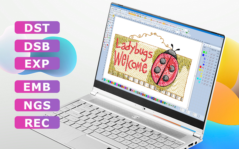 Embroidery File Format