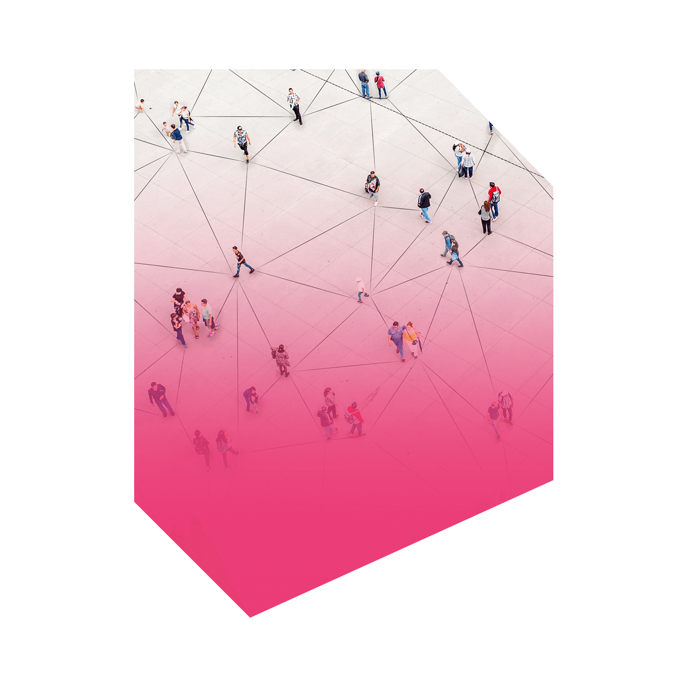 BUSINESS INTELLIGENCE SOLUTIONS iBASIS