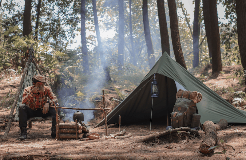 How to Make a Tent Bear Proof? [7 Proven Ways]