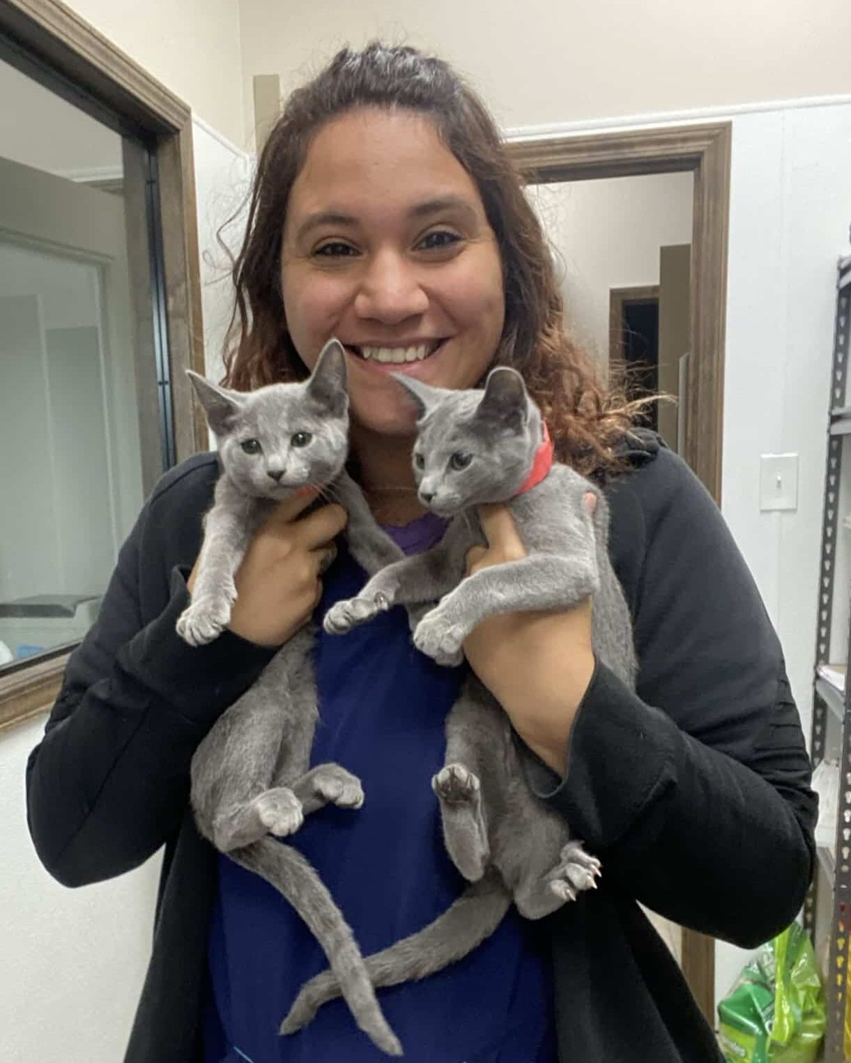 Animal Control Iberia Parish Government