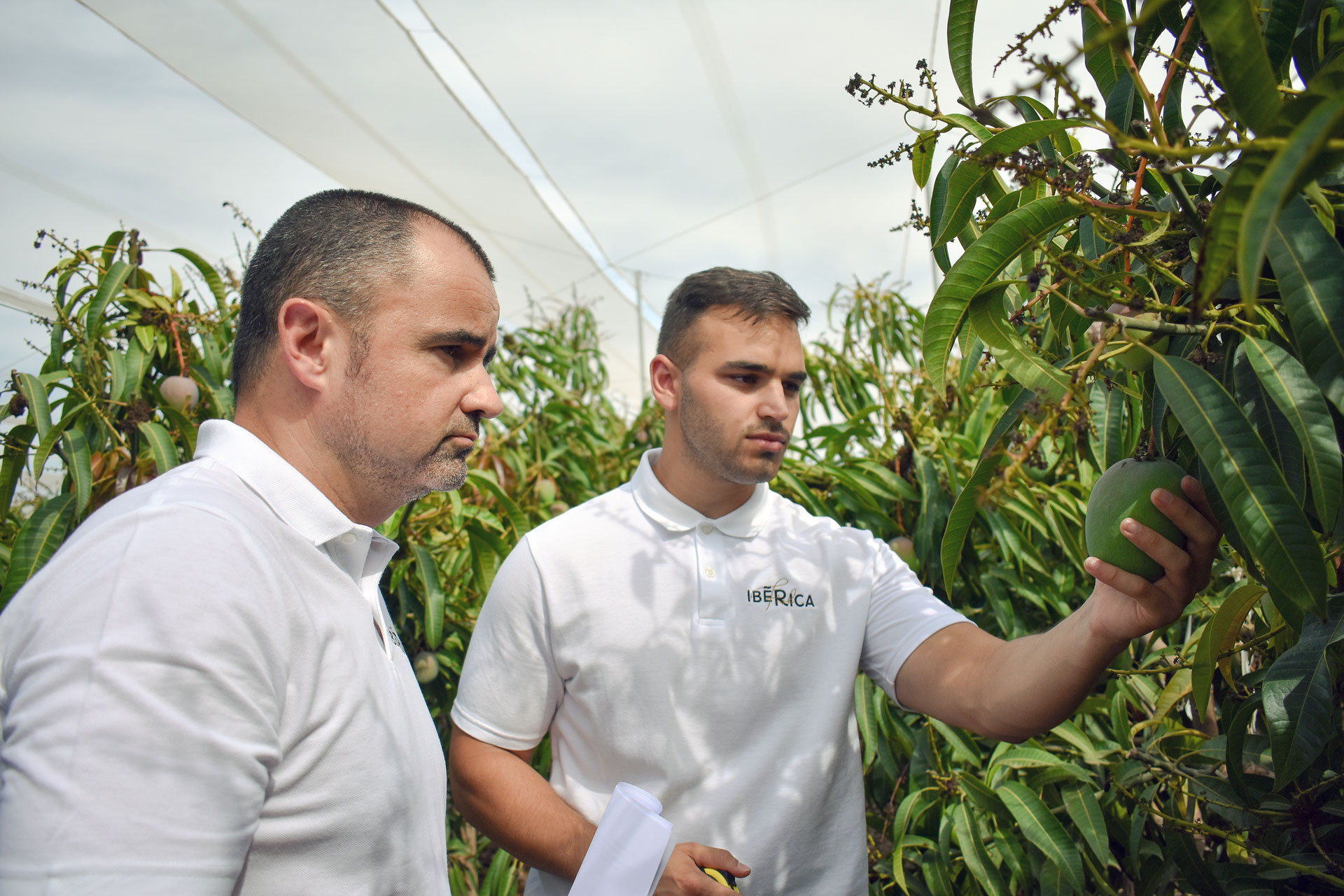 Sobre Nosotros Iberica Fresh