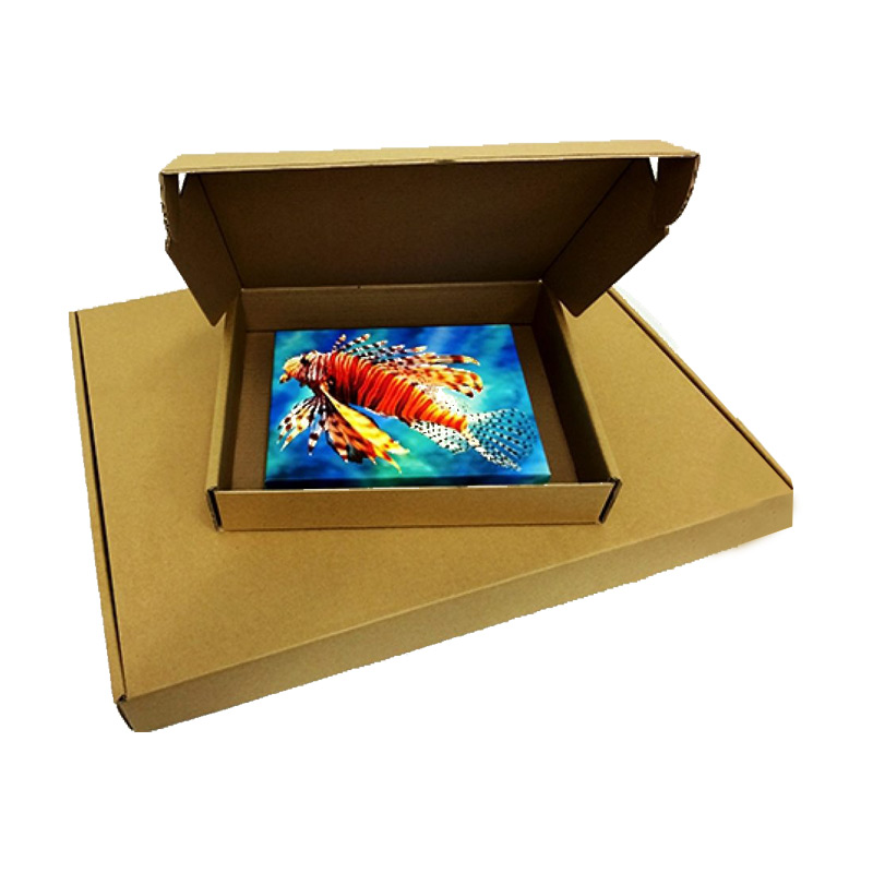 Digital Photo Frame Boxes Ibex Packaging