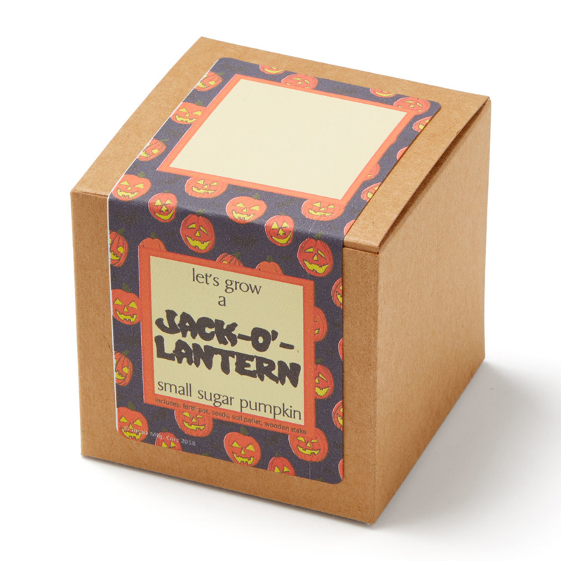 Custom Seed Boxes Printed Seeds Packaging Boxes Wholesale