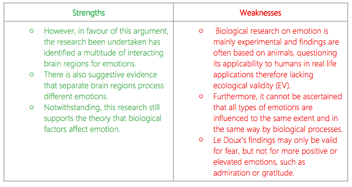 IB Psychology Notes The cognitive level of analysis Cognition and