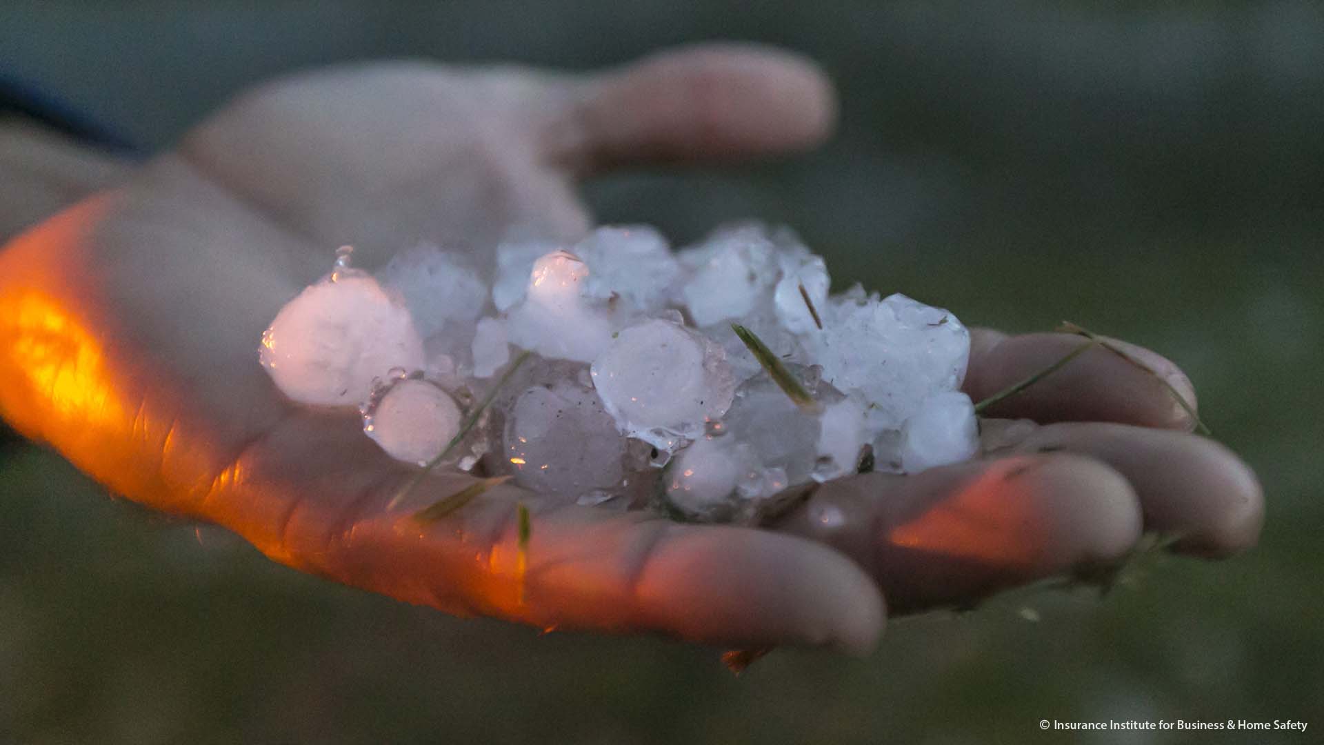 Claims Analysis of May 24, 2011 Hailstorms in DallasFort Worth