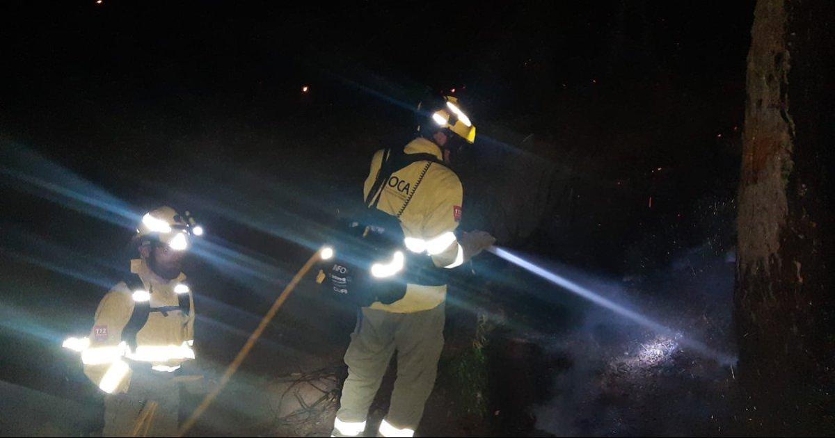 Incendio en Málaga Controlado el fuego en Sierra Bermeja