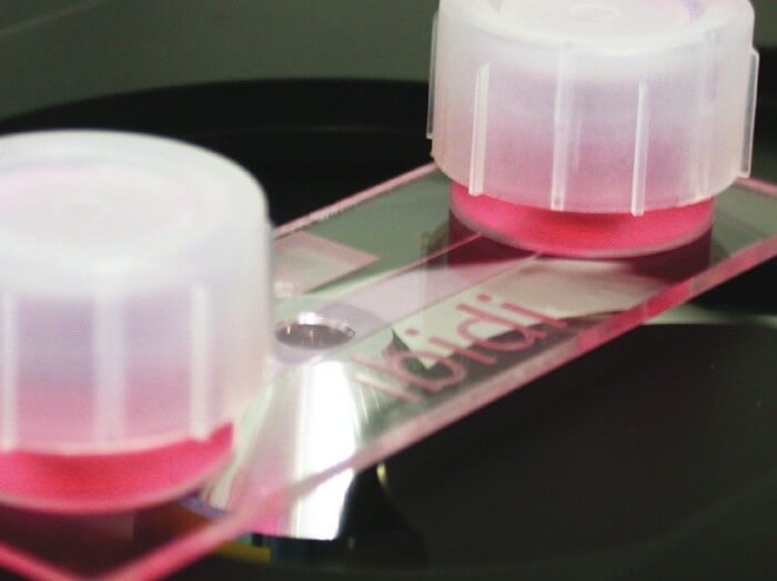 µSlide I Channel Slide for Flow Assays ibidi