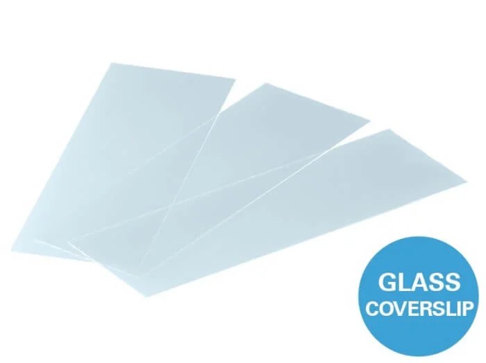 Coverslips for Chambers, removable For Immunofluorescence ibidi