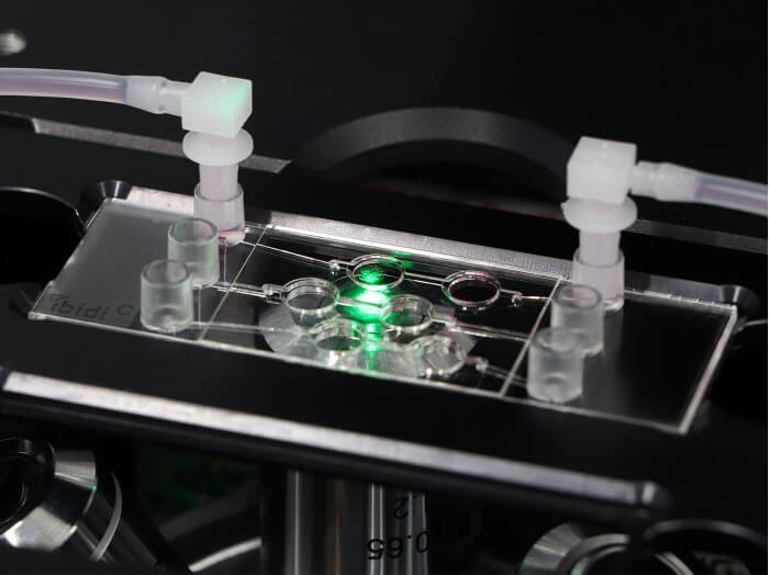 µSlide III 3D Perfusion 3D Cell & Tissue Culture ibidi