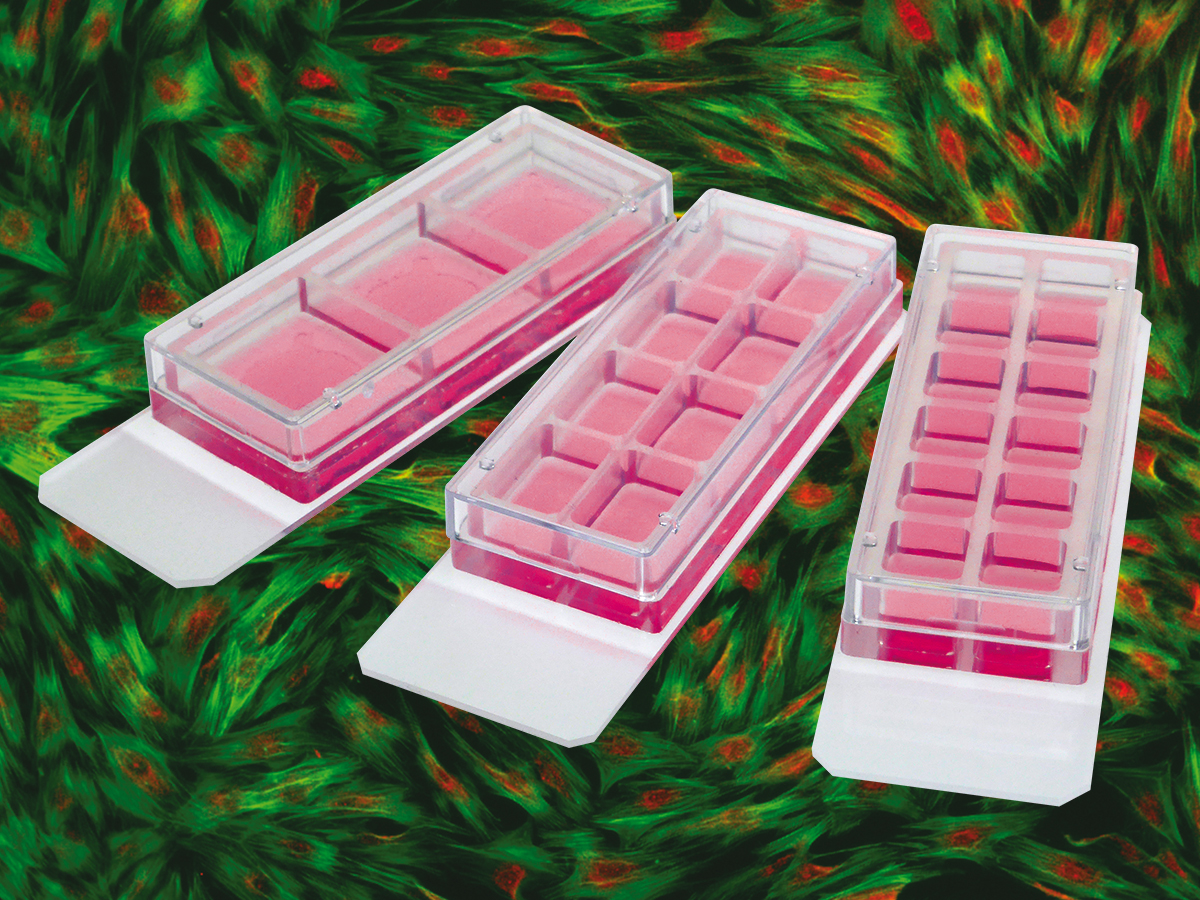 ibidi Product News ibidi Offers New 3 Well and 8 Well Removable