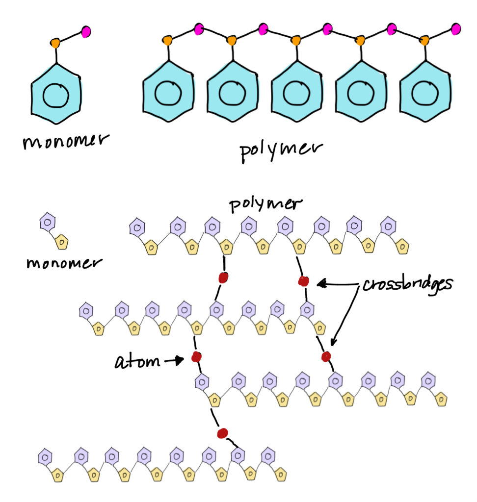 Diaper Polymers iBIO