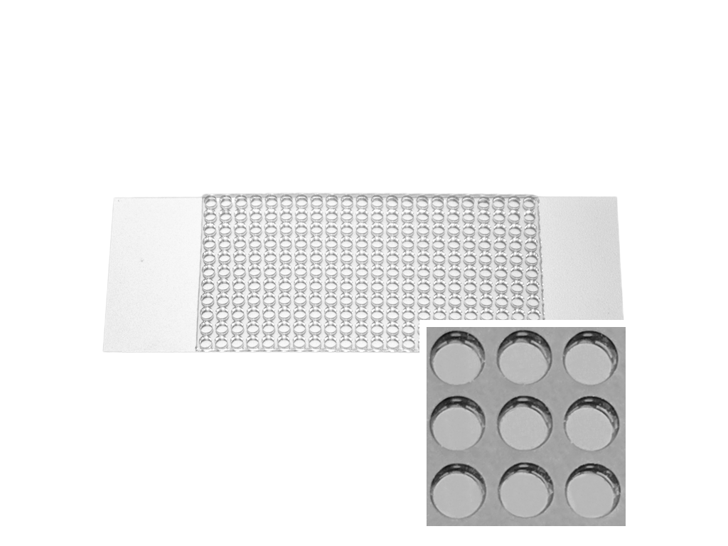 Hole ArrayCoverslip iBiochips