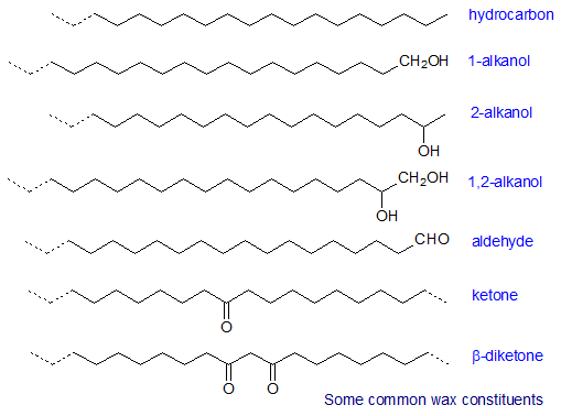 [DIAGRAM] Diagram Of The Chemical Structure Of Ear Wax - MYDIAGRAM.ONLINE