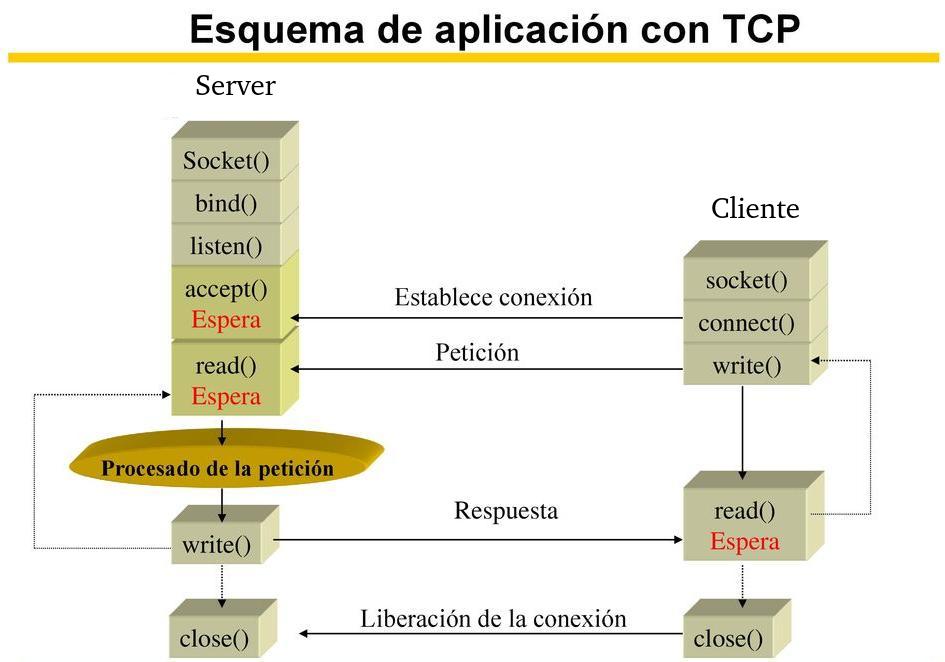 Info1 Redes y uso de sockets en C