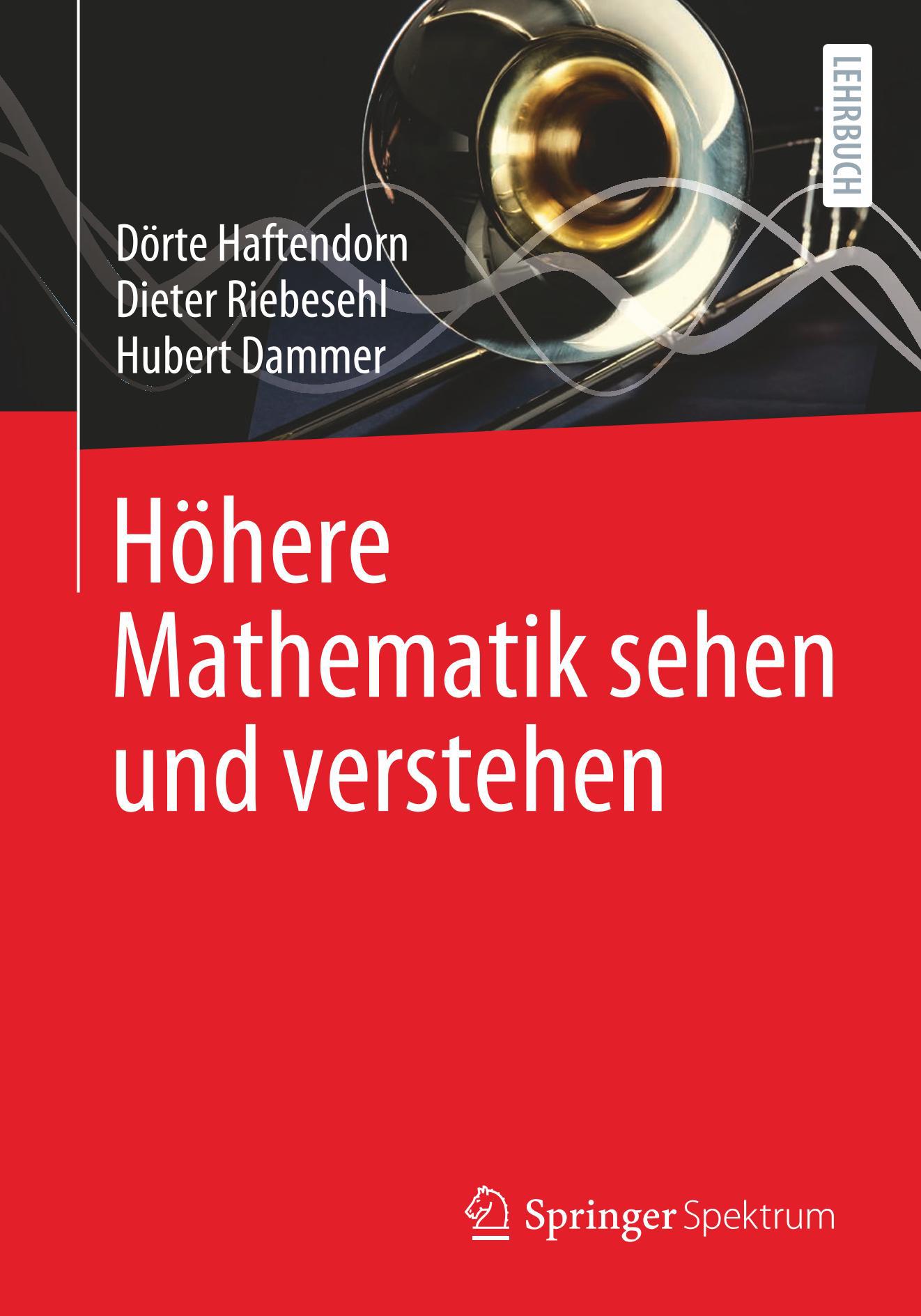 Dörte Haftendorn Höhere Mathematik sehen und verstehen, 1. Aufl. 2021