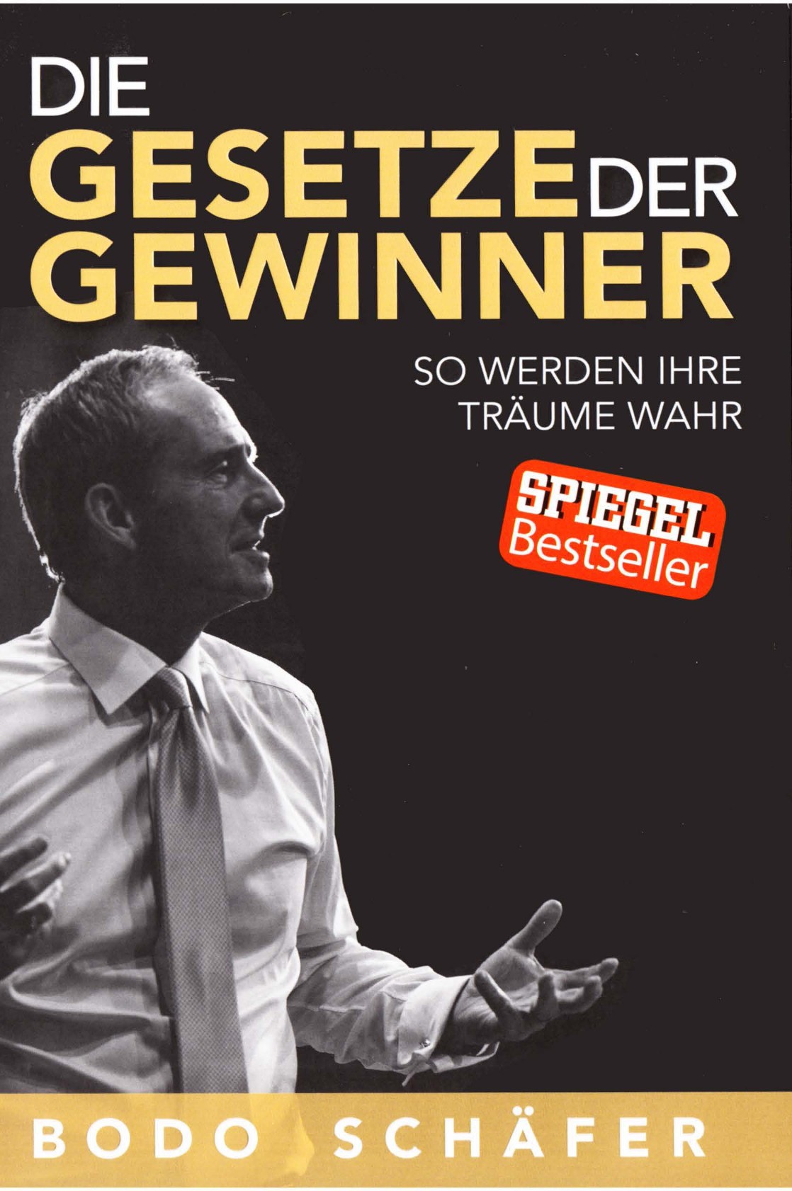 Bodo Schäfer Die Gesetze der Gewinner Erfolg und ein erfülltes Leben