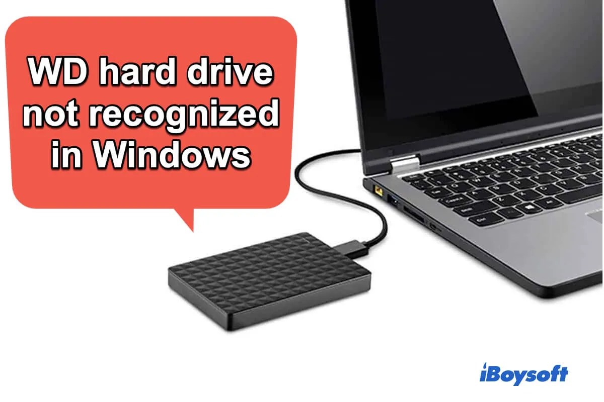 Fix WD External Hard Drive Not Recognized in Windows 10/11