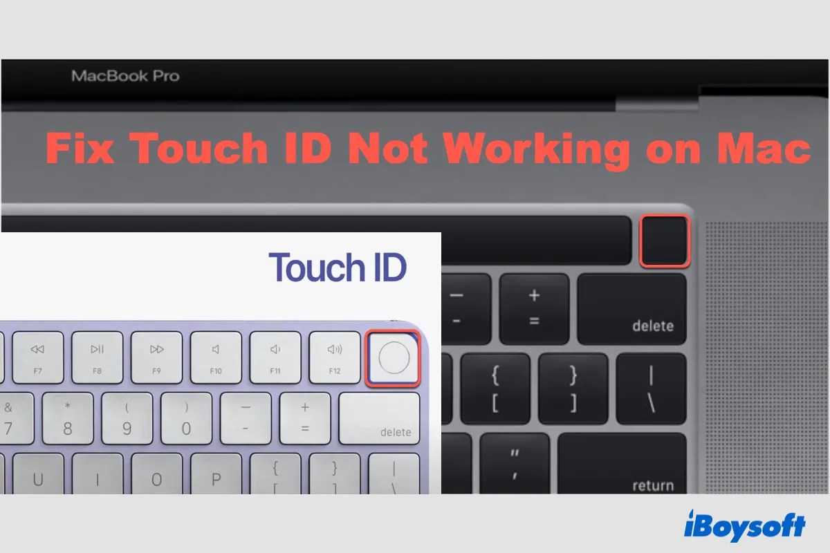 Touch ID/Fingerprint Not Working on MacBook Air/Pro [Fixed]
