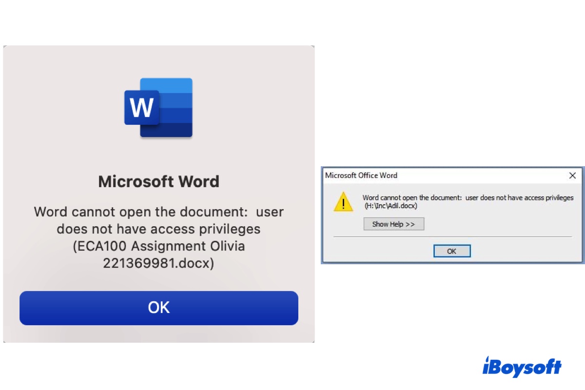 Fix Word User Does Not Have Access Privileges on Mac/Windows