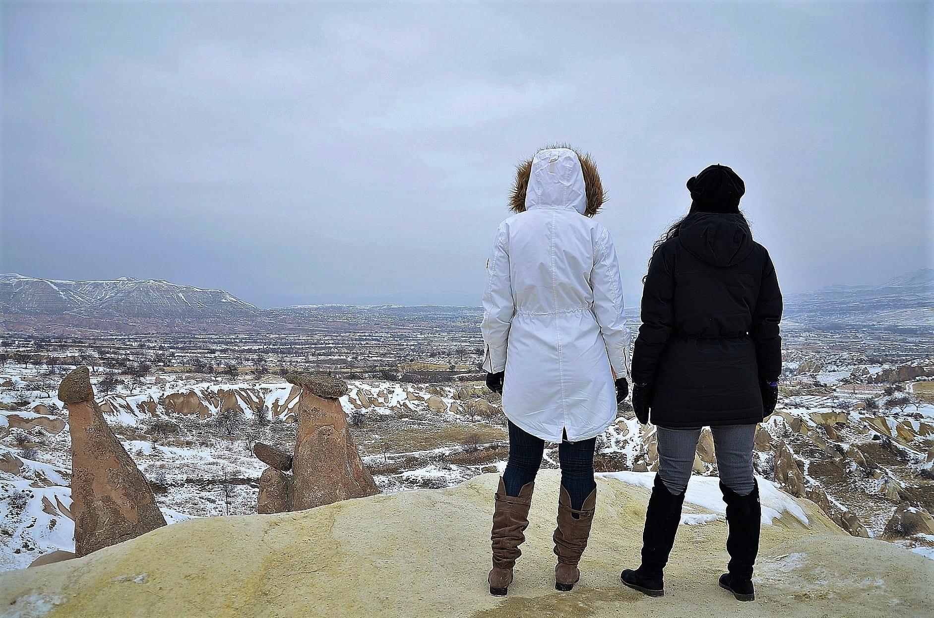 Bipolar Diversity Friends With Significantly Different Insights