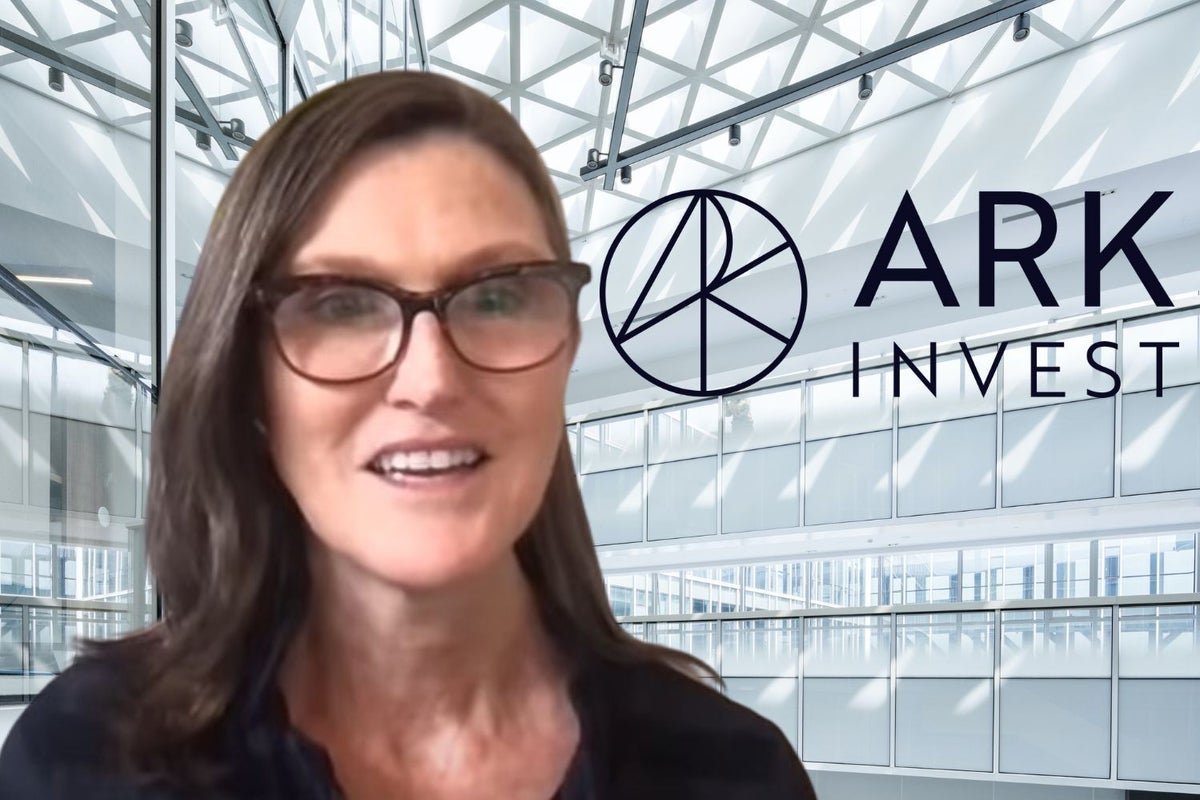 Arch Invest's Cathy Wood Is Betting Big on AI With These 4 Stocks