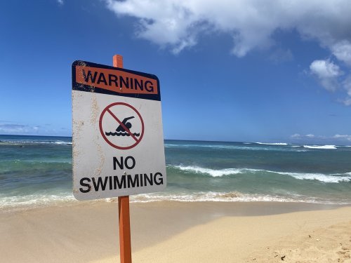 Swim advisories are in effect at these popular Ontario beaches Flipboard