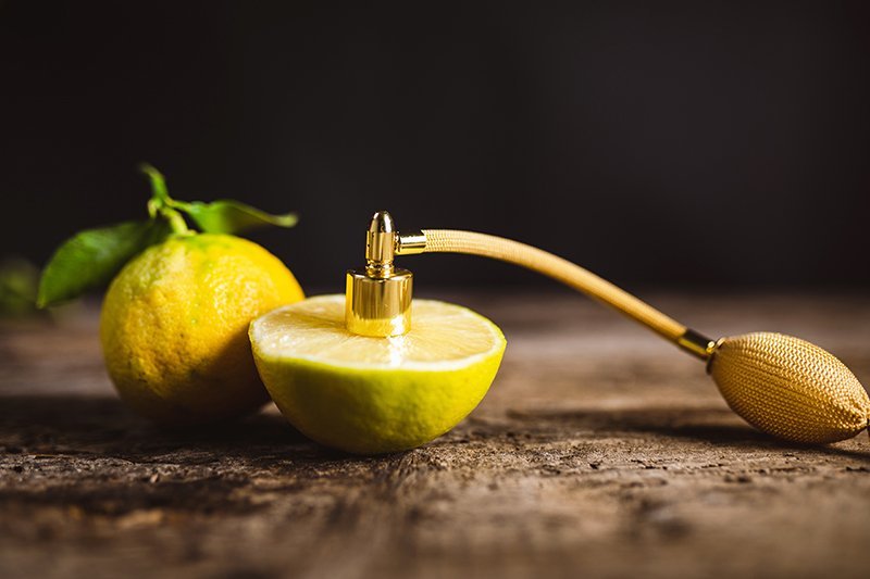10 BEST CITRUS PERFUMES FOR MEN AND WOMEN Flipboard