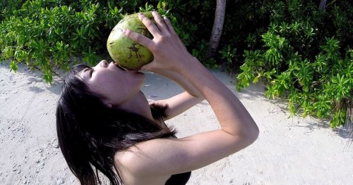 Docastaway Lets You Live Out Your ‘Survivor’ Fantasy on a Desert Island