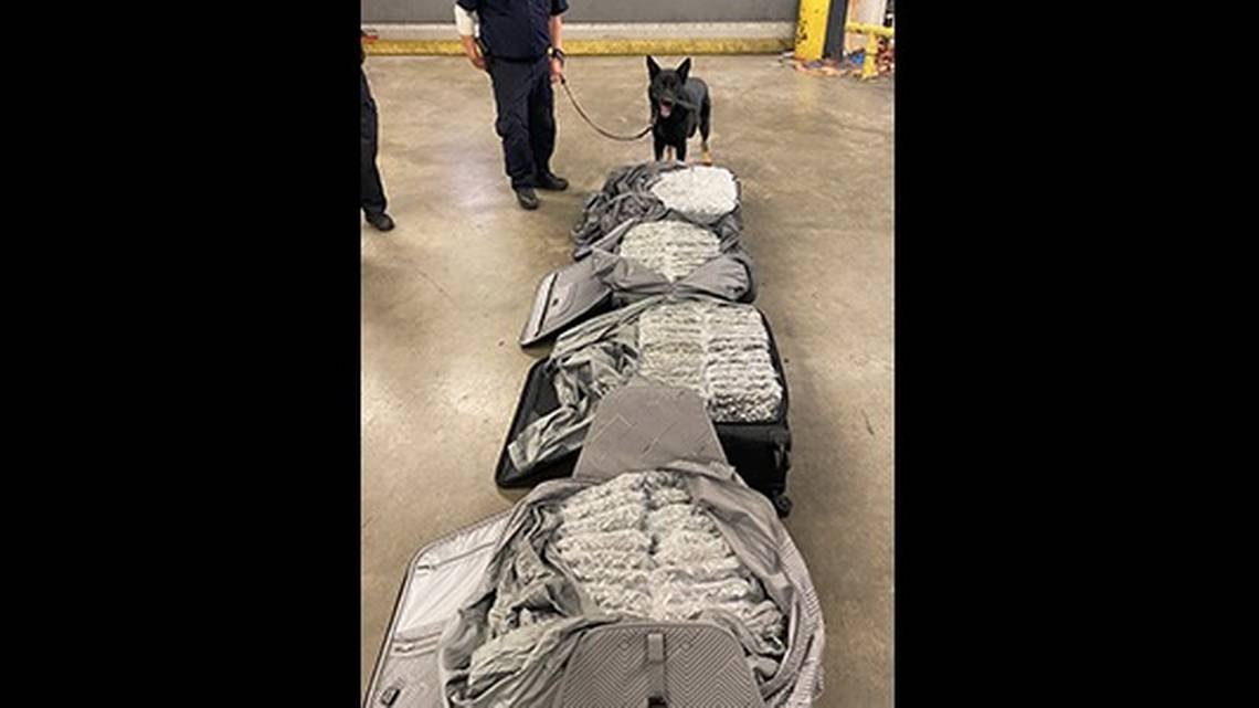 Suitcases with 114 pounds of marijuana seized before Londonbound