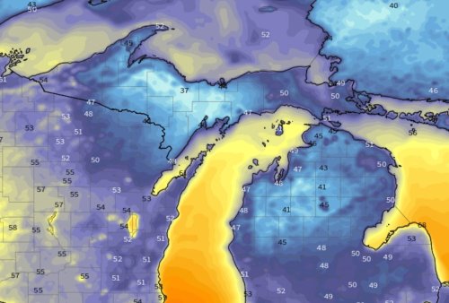 Michigan gets its first frost this morning Flipboard