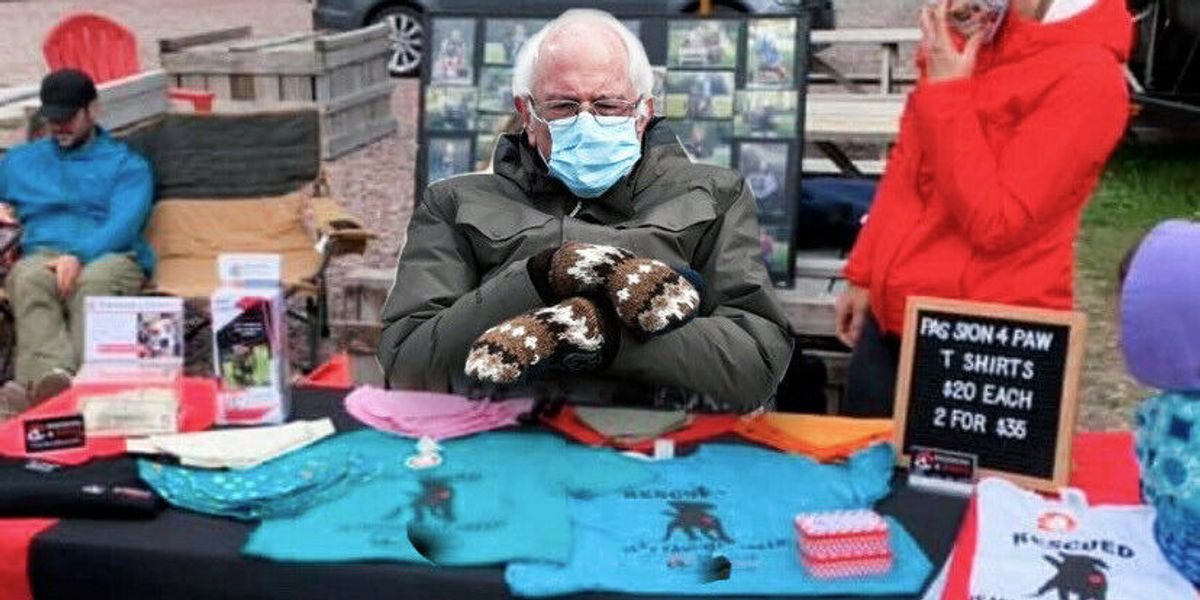You Can Now Buy 'Grumpy Bernie' Merch & The Proceeds Go To
