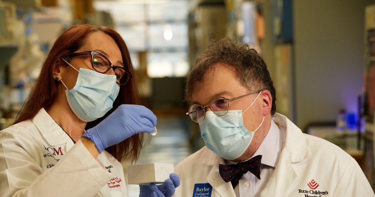 New patentfree COVID vaccine developed as “gift to the world” Flipboard