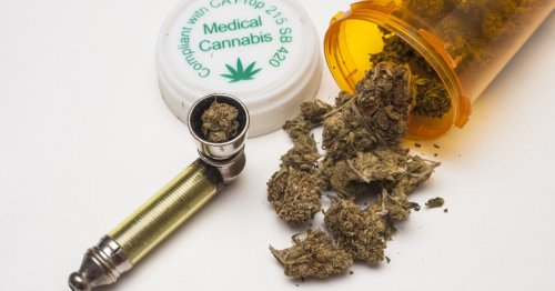 Cannabis and pain New findings on headaches add a piece to the puzzle