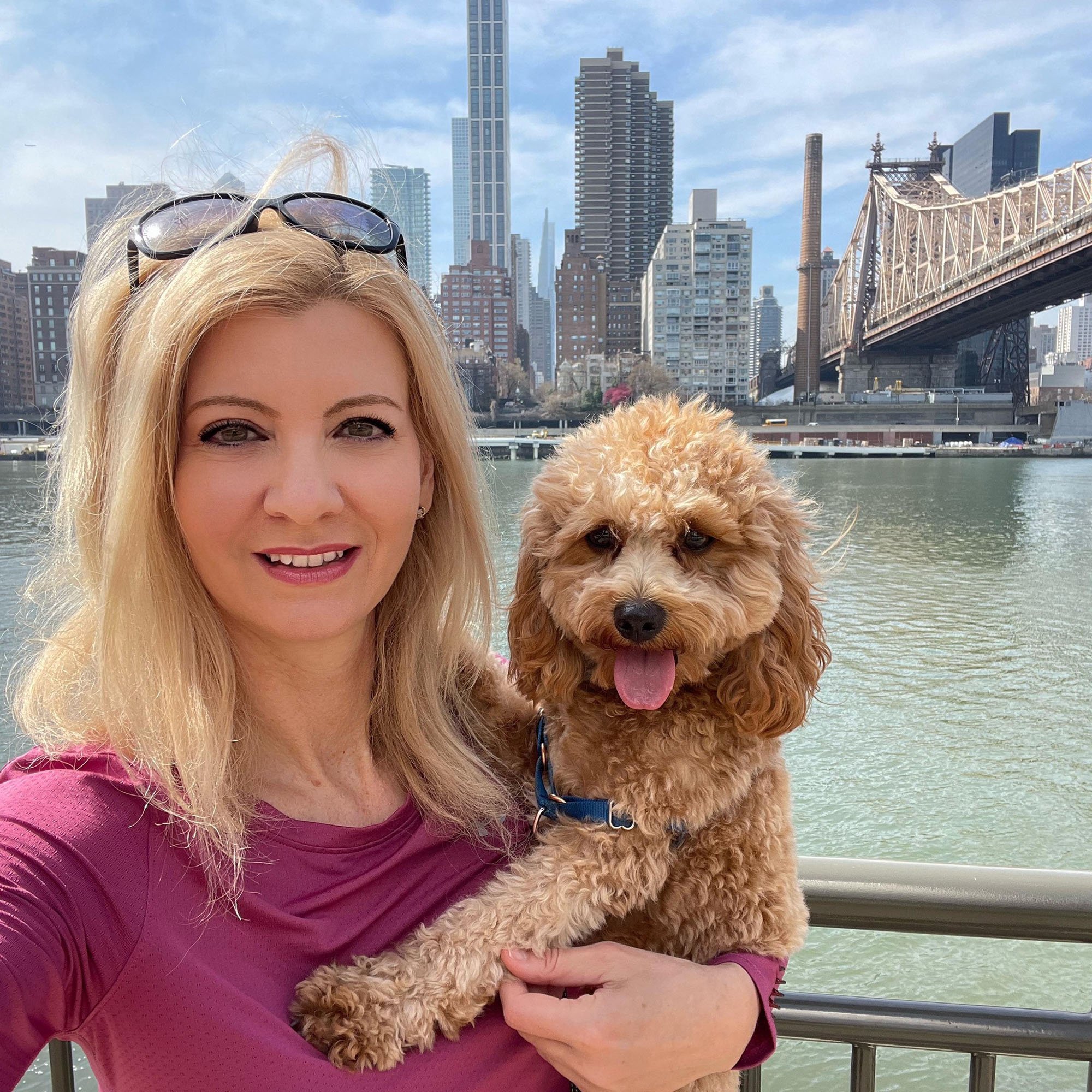 NYC mom Orsolya Gaal’s body found in duffel bag Flipboard