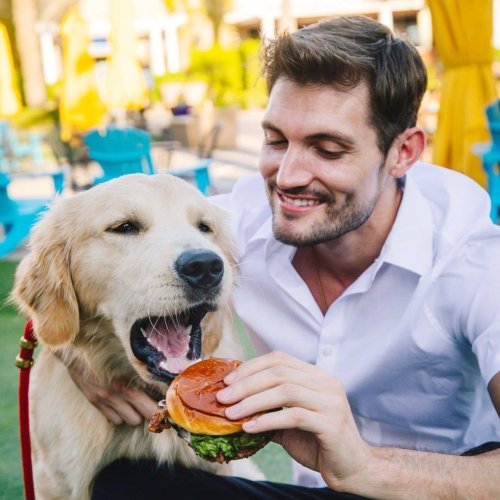 15 FastFood Chains with a Secret Dog Menu Flipboard