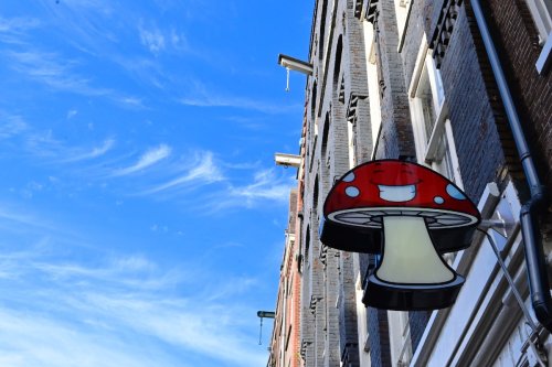 About Amsterdam renuchio Flipboard