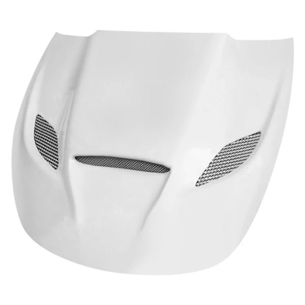 Amerihood® Dodge Dart 2013 HC Style Functional Ram Air with Heat