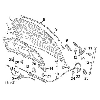2022 Audi Q5 Under Hood Insulations | Pads, Liners — CARiD.com